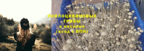 spice Богданович