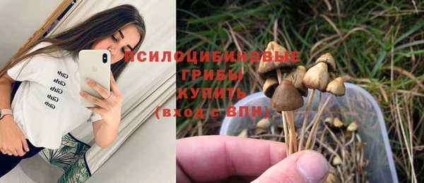spice Сафоново