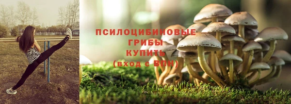 spice Сафоново