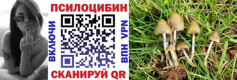 где купить наркотик  гидра сайт  Галлюциногенные грибы GOLDEN TEACHER  Княгинино 