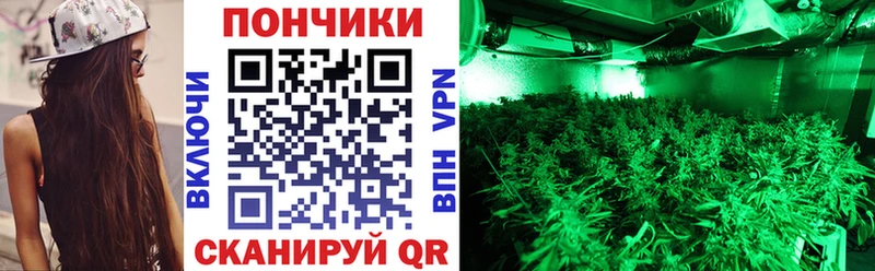 Каннабис Bruce Banner  Княгинино 
